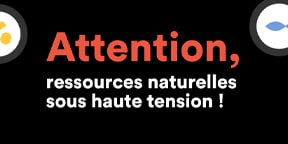 Vignette - Attention, ressources naturelles sous haute tension !