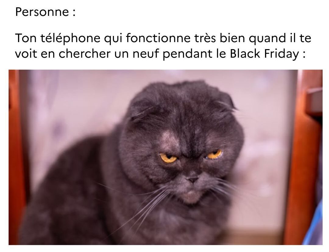Illustration d'un chat qui boude, précédée du texte : « Personne : Ton téléphone qui fonctionne très bien quand il te voit en chercher un neuf pendant le Black Friday : »