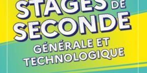 Stages de seconde générale et technologique ; construisons l'avenir